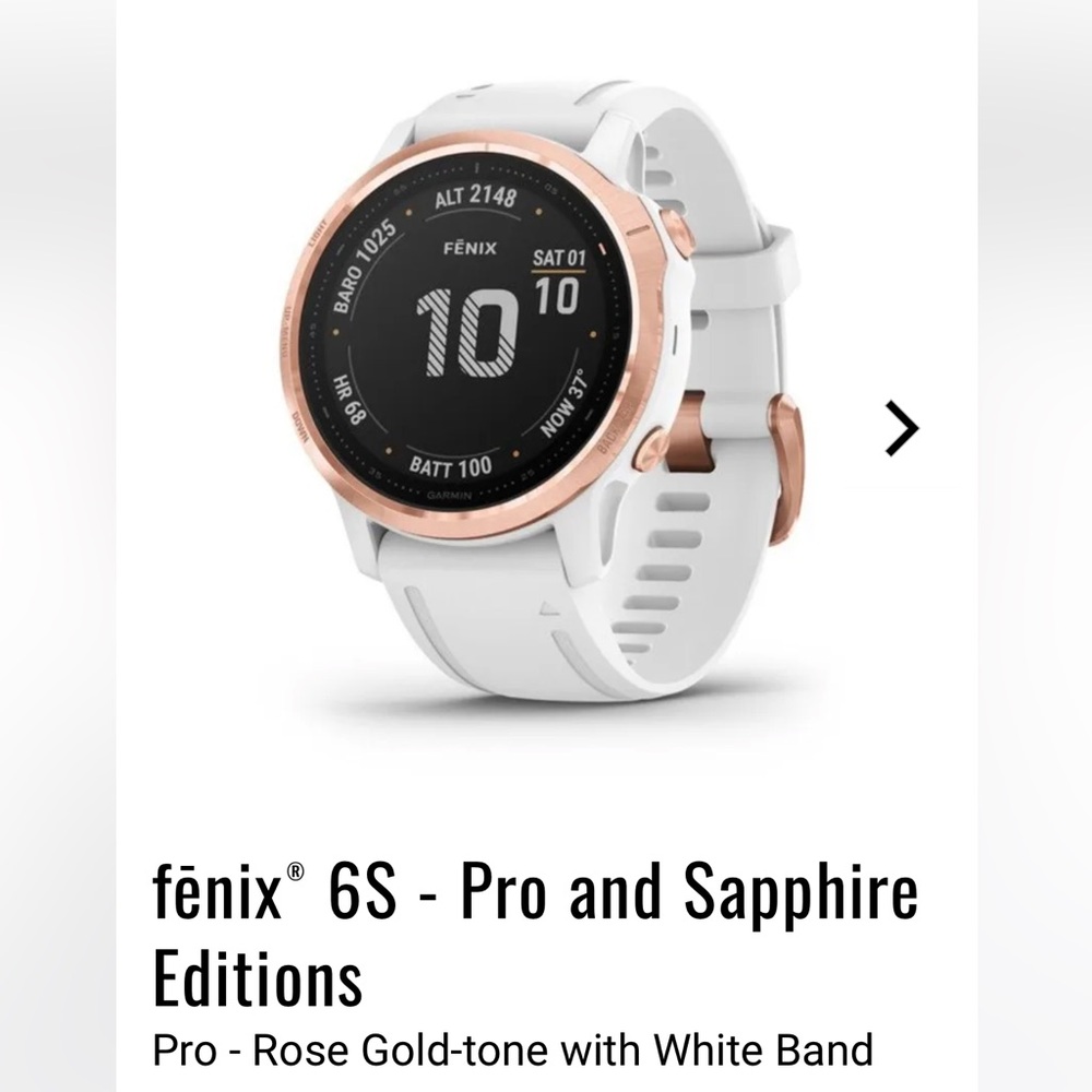 Garmin Fenix 6s white / rose gold